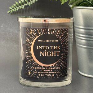 BBW Into The Night Bath & Body Works Single Wick Candle